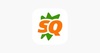 seo-quake-logo